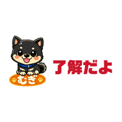 akiko_20260424160943