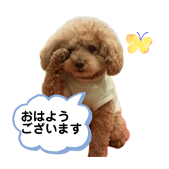 minmin_20260424155316