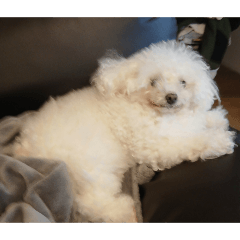 takasi_20260424162436