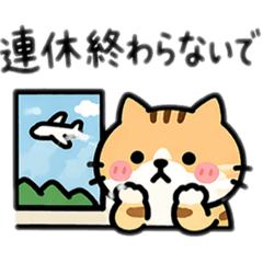 popola_20260424161257