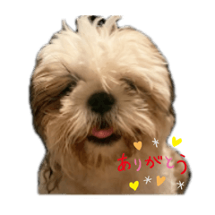 megumimi_20260424165223