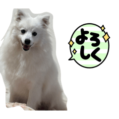 Tamago_20260424165319