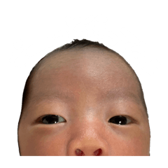 sai_20260424194449