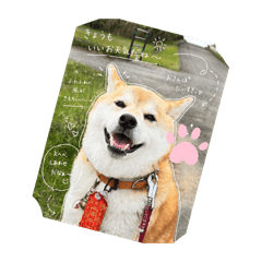 kotaoo_20260424171329