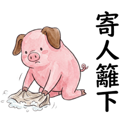 小豬豬：成語諧音白目實用包8