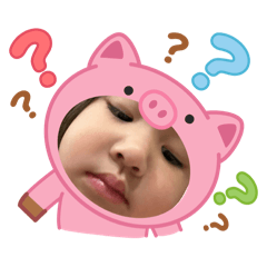 Meimeihuajaicheesestick