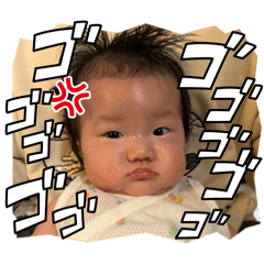 wanko_20260424185049