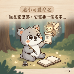 從星空墬落的小灰熊