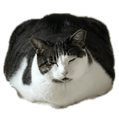 mokosan_20260424195115