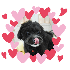 rabbimon_20260424125949