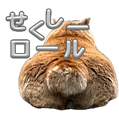 hatabo_20260424200521