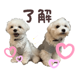 KUNKUN_20260424201601