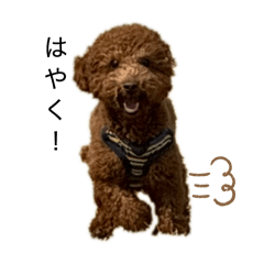 momoka_20260424202113