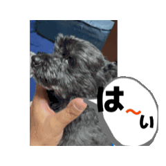 namihey_20260424165103