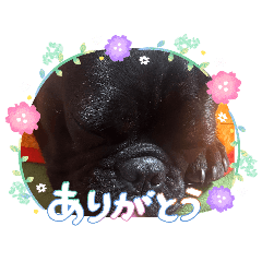 ayaka_20260424180951