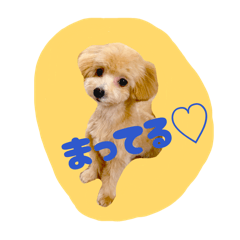 Satonma_20260424180833