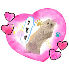 annie_20260424181114