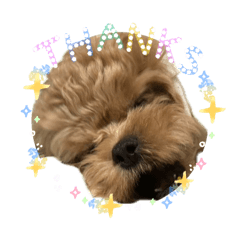 Akane_20260424182449