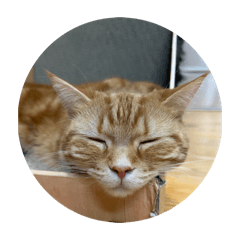 Do your best!_20260424182222