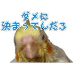 KiraMari_20260424182127