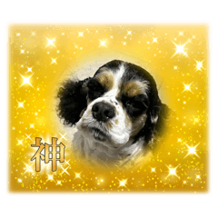 mwjgpjtx_20260424190427