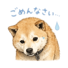 ayaka_20260424202726