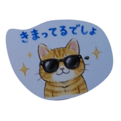 sasakihoneko_20260424203619