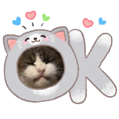 hanan_20260424203701