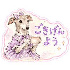 cats and dogs_20260424204022