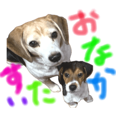 aruto_20260424213542