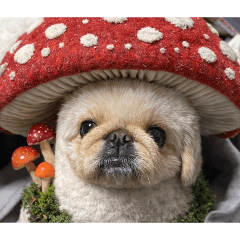 Watako@_20260424163314