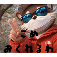 Rrrrr_20260424172328