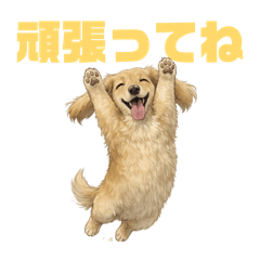 piropiro_20260424173530