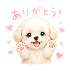 COCOWING_20260424173002