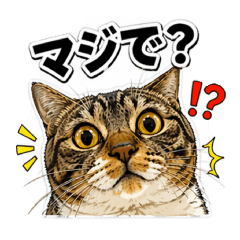 jajaja_20260424172902