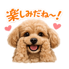 yururin_20260424173342