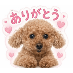 MAYUMI_20260424210201