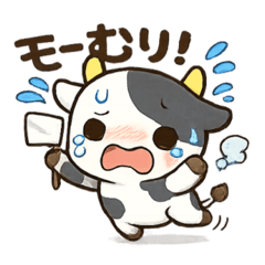 Cute Moo Cow