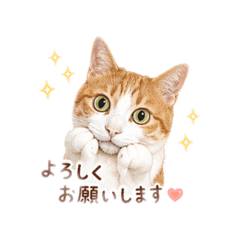 家族でこっそり使うスタンプ