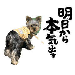 ayane_20260424211017