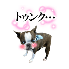 nagisa_20260424183520