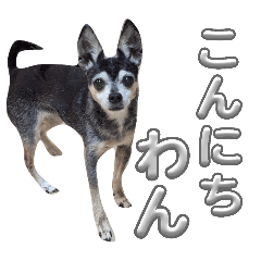 chikuwa_20260424183133