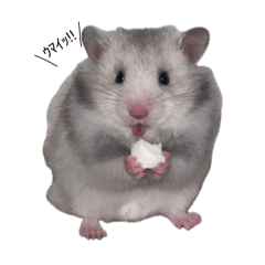 Motonao_20260424184550