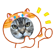 Rlove_20260424215228