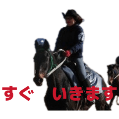 horse KIZUGAWA