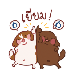 Cavalier Brighton Shelby Basic