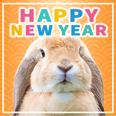 Rabbit photo, New Year BIG sticker, Re.