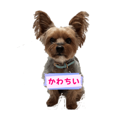 tompei_20260424215533