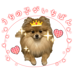 popomama_20260424215404