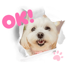 misaki_20260424215647